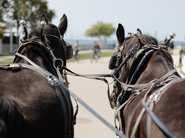 Mackinac Island Carriage Tour